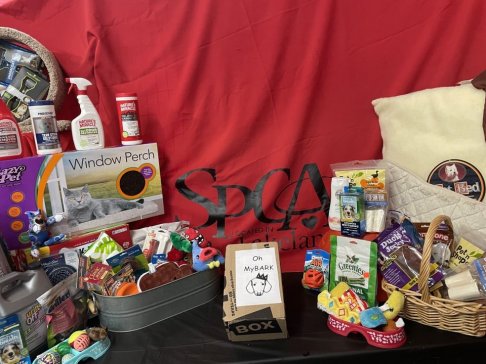 SPCA Florida Warehouse Blowout SALE